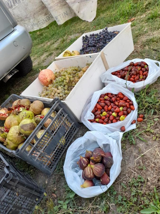 Chateau Sukaj Ljaknasi Eksteriør bilde