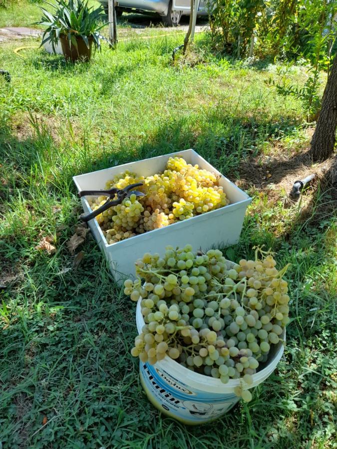 Chateau Sukaj Ljaknasi Eksteriør bilde