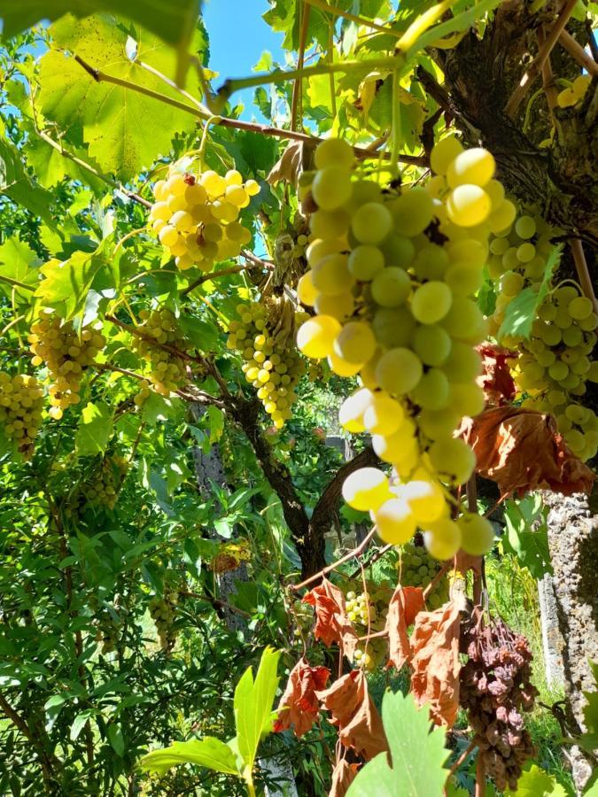 Chateau Sukaj Ljaknasi Eksteriør bilde