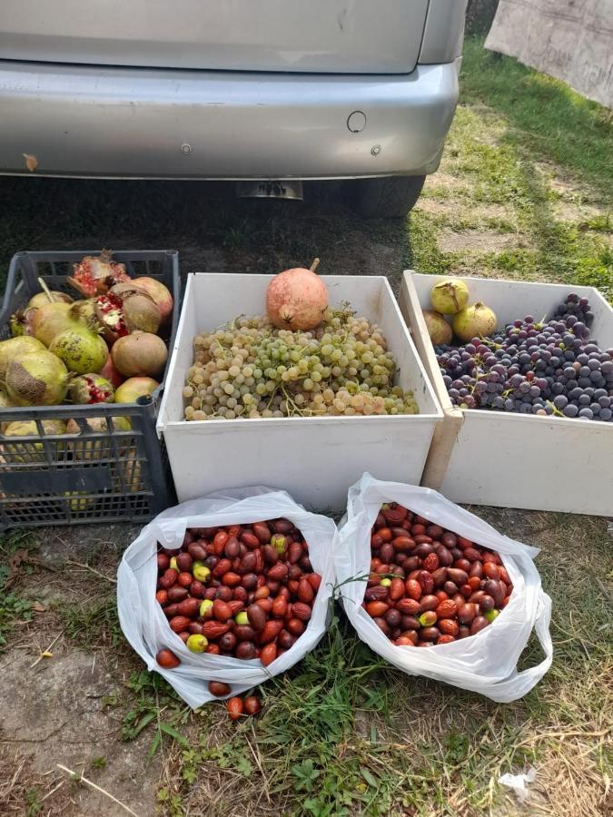Chateau Sukaj Ljaknasi Eksteriør bilde