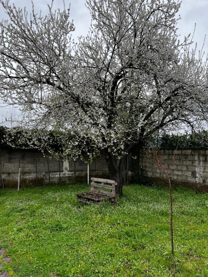 Chateau Sukaj Ljaknasi Eksteriør bilde